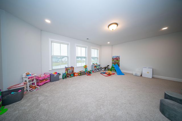 142 Riley Farms Court, Summerville, SC 29486