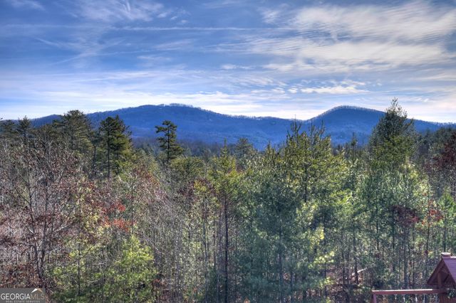 1038 Synacia Drive, Mineral Bluff, GA 30559