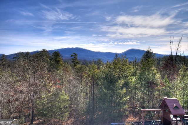 1038 Synacia Drive, Mineral Bluff, GA 30559