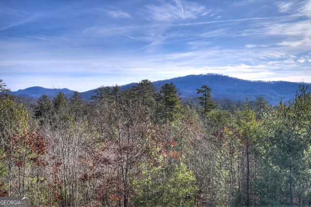 1038 Synacia Drive, Mineral Bluff, GA 30559