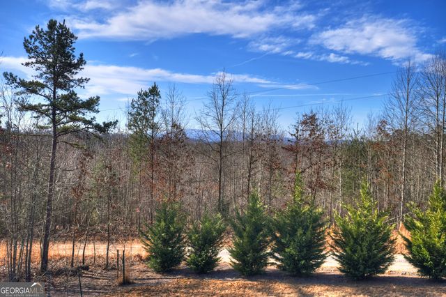 1038 Synacia Drive, Mineral Bluff, GA 30559