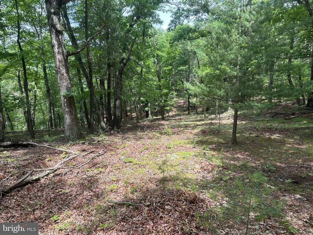 2.23 AC DOE TRAIL, Springfield, WV 26763