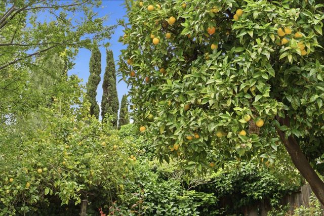 19113 San Miguel Avenue, Castro Valley, CA 94546