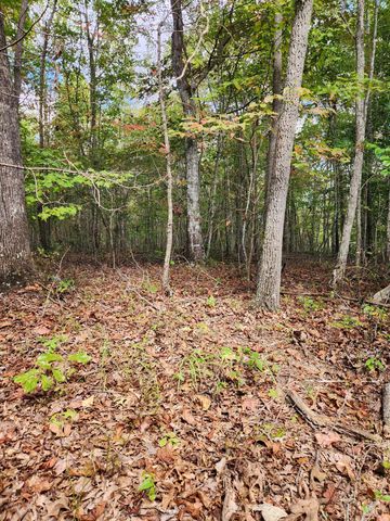 0 Deer Run 179a, Spencer, TN 38585