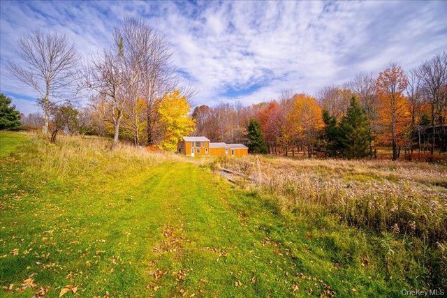 30 Walnut Mountain Road, Liberty, NY 12754