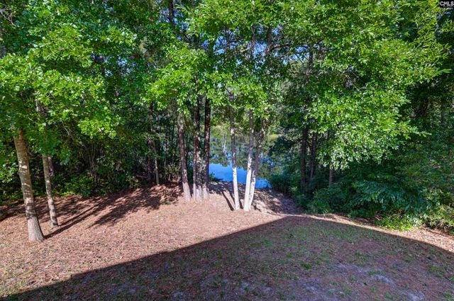 215 Sorrel Tree Drive, Columbia, SC 29223