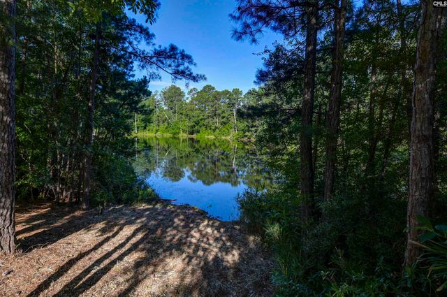 215 Sorrel Tree Drive, Columbia, SC 29223