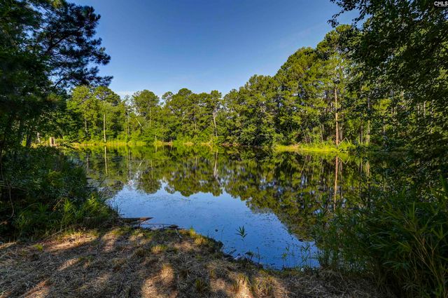 215 Sorrel Tree Drive, Columbia, SC 29223