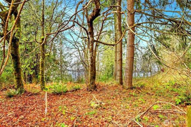 18813 & 18815 74th Street SW, Longbranch, WA 98351