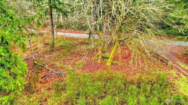 18813 & 18815 74th Street SW, Longbranch, WA 98351