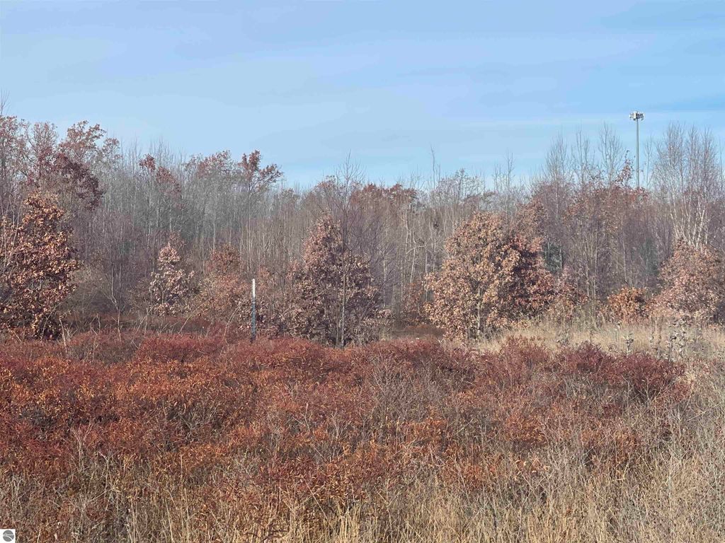 Image 14 of property listing at NHN N Clare Avenue, Harrison, MI 48625