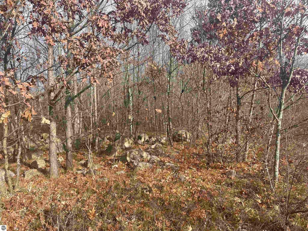 Image 17 of property listing at NHN N Clare Avenue, Harrison, MI 48625