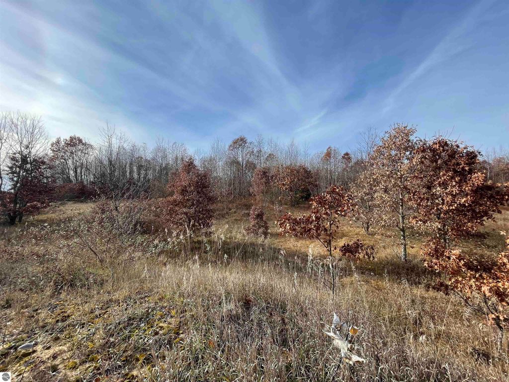 Image 18 of property listing at NHN N Clare Avenue, Harrison, MI 48625