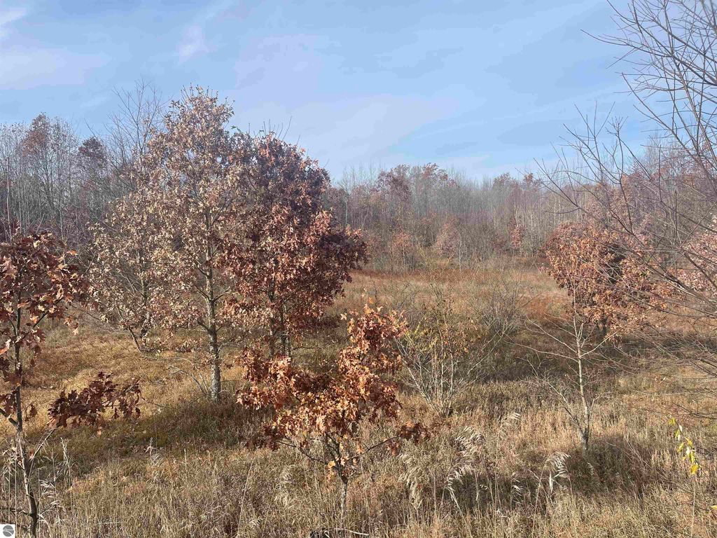 Image 19 of property listing at NHN N Clare Avenue, Harrison, MI 48625