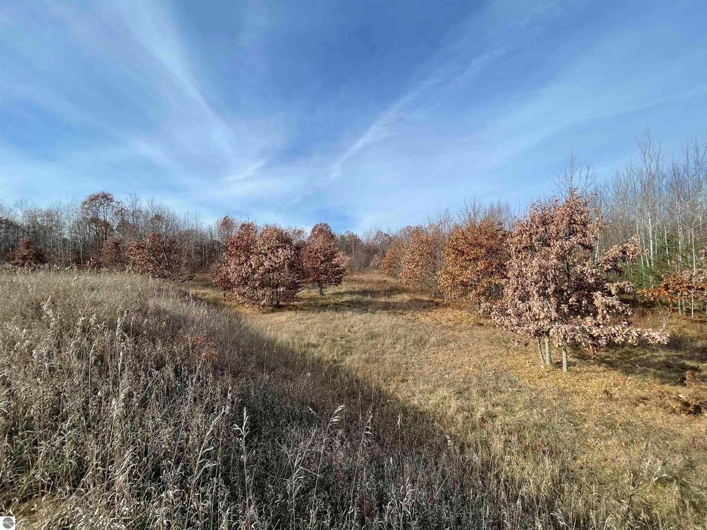 Image 20 of property listing at NHN N Clare Avenue, Harrison, MI 48625