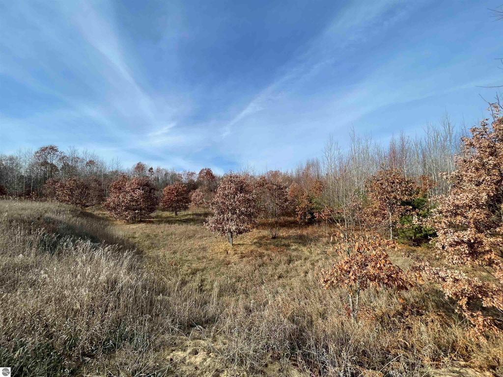 Image 21 of property listing at NHN N Clare Avenue, Harrison, MI 48625