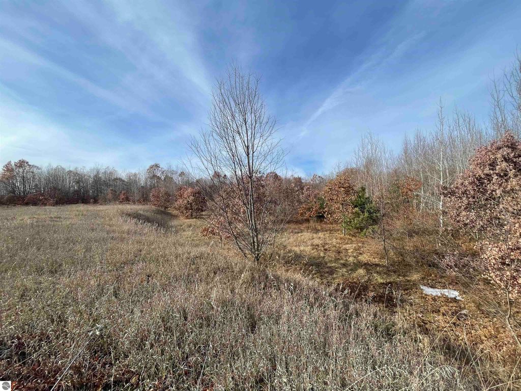 Image 22 of property listing at NHN N Clare Avenue, Harrison, MI 48625