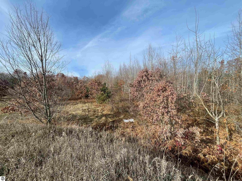 Image 23 of property listing at NHN N Clare Avenue, Harrison, MI 48625