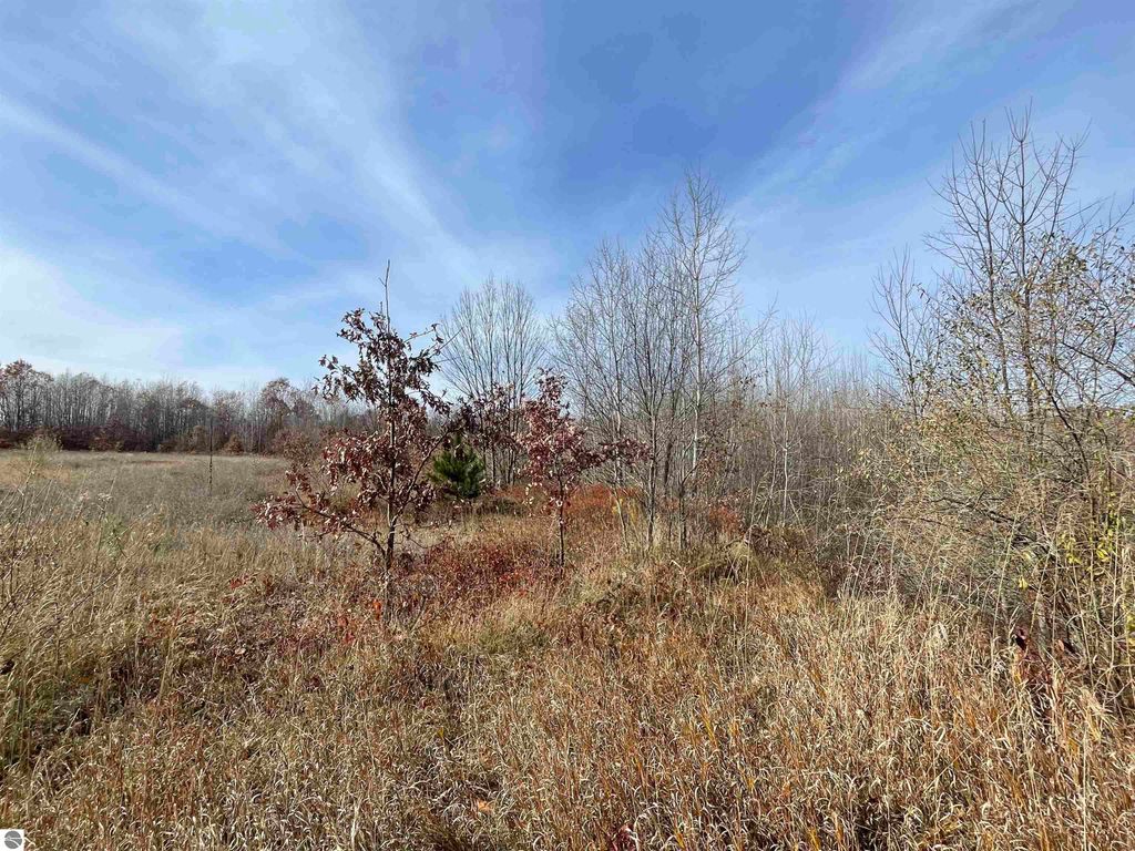 Image 24 of property listing at NHN N Clare Avenue, Harrison, MI 48625