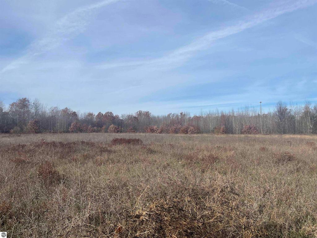 Image 3 of property listing at NHN N Clare Avenue, Harrison, MI 48625