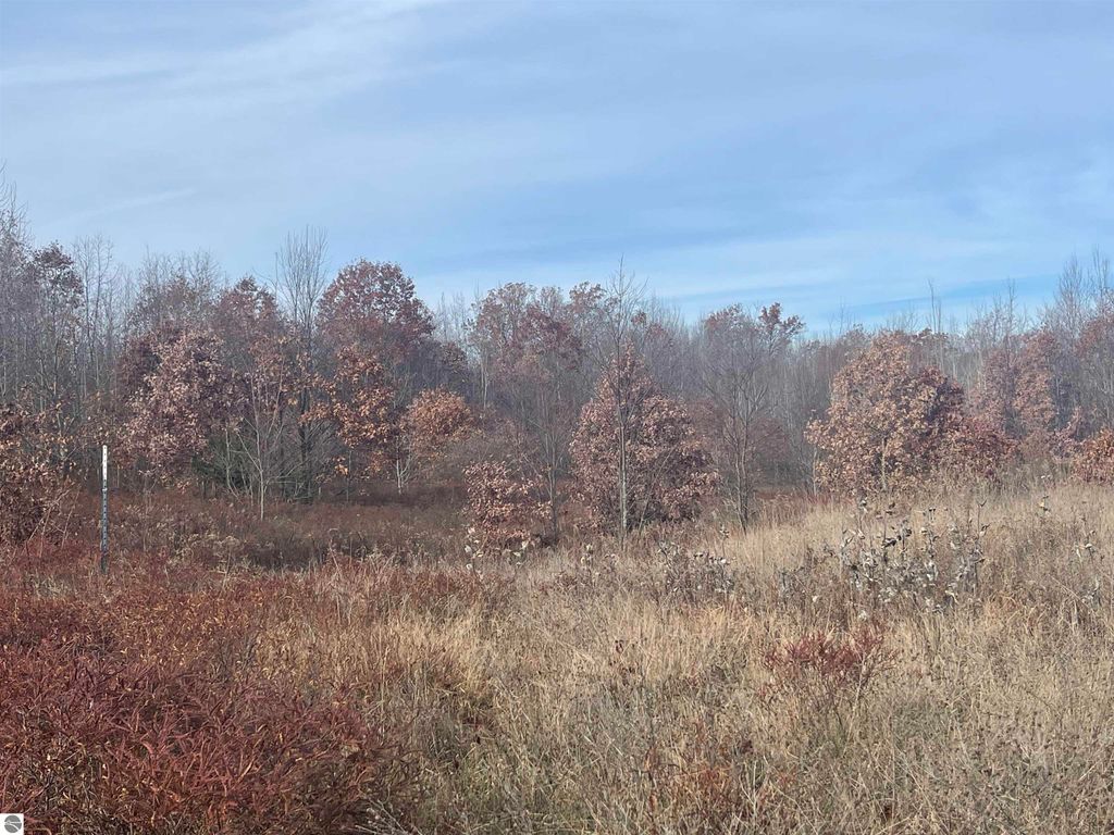 Image 38 of property listing at NHN N Clare Avenue, Harrison, MI 48625