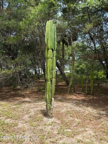508 GEORGETOWN SHORTCUT Road, Crescent City, FL 32112
