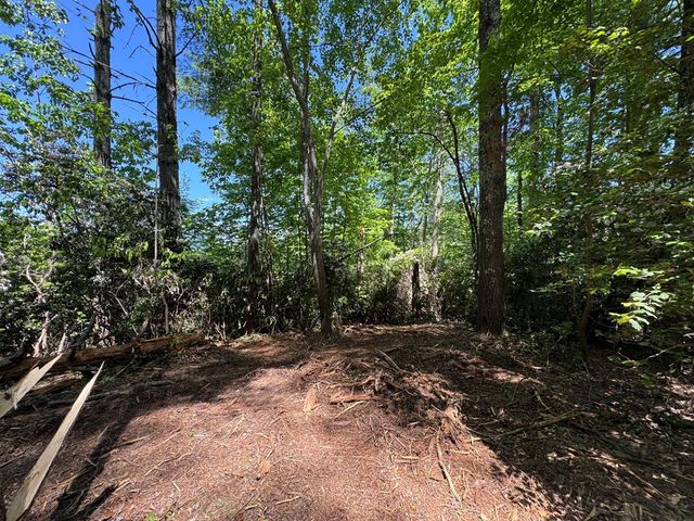 79 Forrest Edge Drive, Murphy, NC 28906