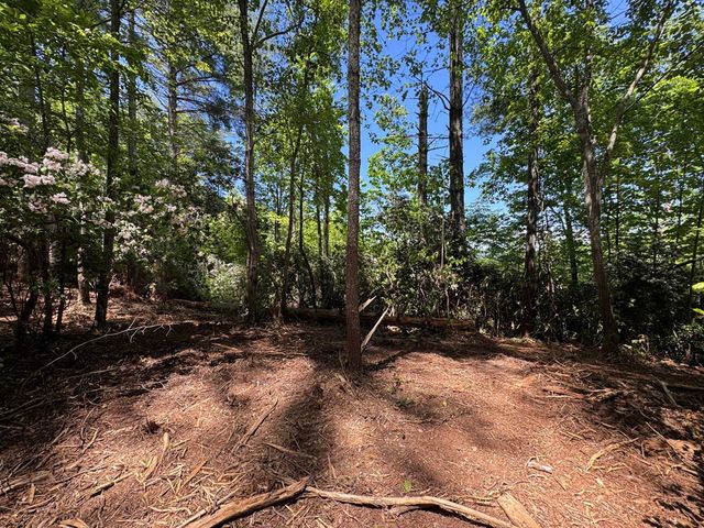 79 Forrest Edge Drive, Murphy, NC 28906