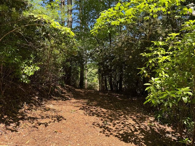 79 Forrest Edge Drive, Murphy, NC 28906