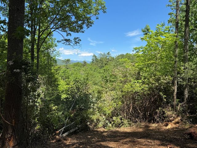 79 Forrest Edge Drive, Murphy, NC 28906