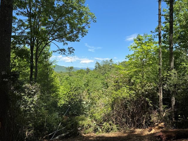 79 Forrest Edge Drive, Murphy, NC 28906