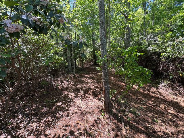 79 Forrest Edge Drive, Murphy, NC 28906