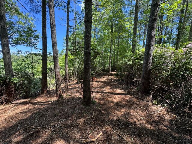 79 Forrest Edge Drive, Murphy, NC 28906