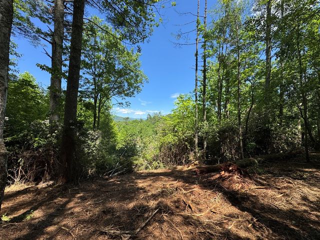 79 Forrest Edge Drive, Murphy, NC 28906