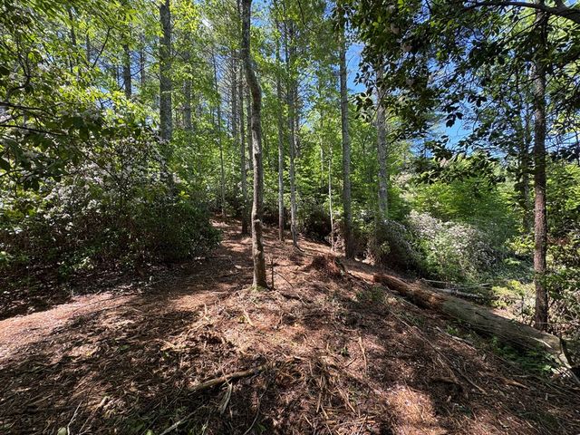 79 Forrest Edge Drive, Murphy, NC 28906