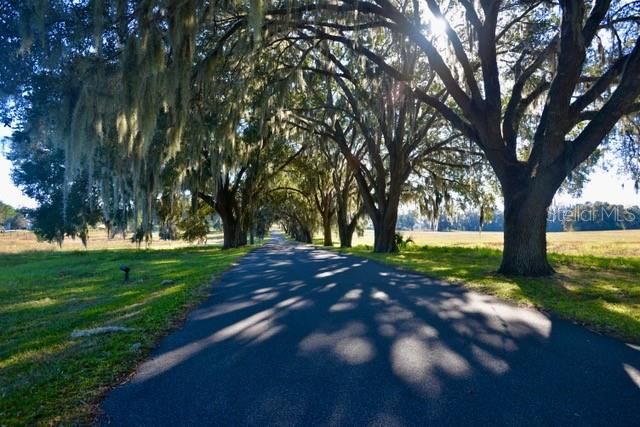 11920 SE 8TH AVENUE, Ocala, FL 34480