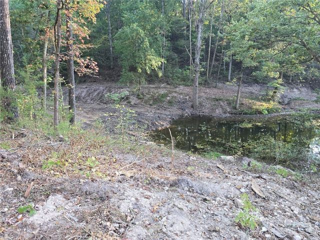 13247 Route E, Pineville, MO 64856