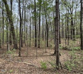 0 Lot 336 Forest Hills Drive, Littleton, NC 27850