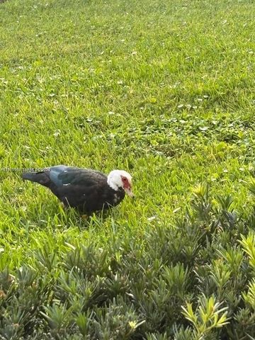 82 Dorset B 82 dorset B, Boca Raton, FL 33434