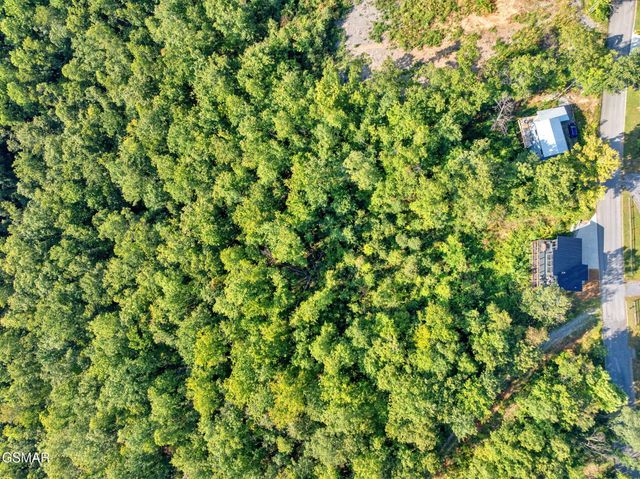 1 Shell Mountain Road, Sevierville, TN 37876
