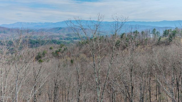 1 Shell Mountain Road, Sevierville, TN 37876
