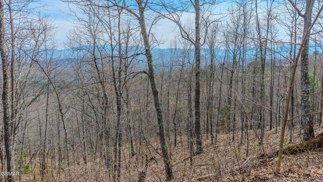 1 Shell Mountain Road, Sevierville, TN 37876