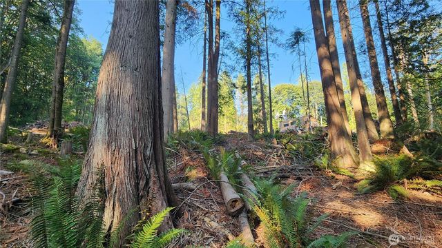 18813 126th Street SE, Snohomish, WA 98290