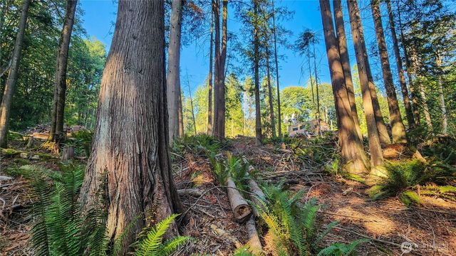 18813 126th Street SE, Snohomish, WA 98290