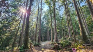 18813 126th Street SE, Snohomish, WA 98290