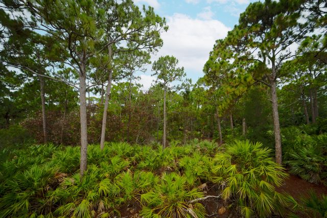 6128 SE Portofino Circle 104, Hobe Sound, FL 33455