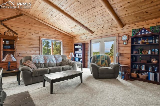 4269 County Road 51, Divide, CO 80814