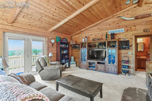 4269 County Road 51, Divide, CO 80814