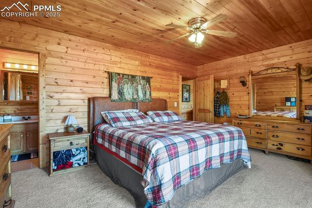 4269 County Road 51, Divide, CO 80814