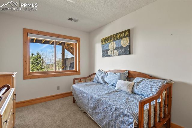 4269 County Road 51, Divide, CO 80814